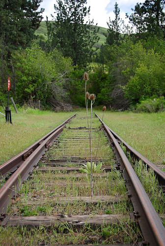 railroad oregon switch flora track thistle rusty abandonment gibbon lightroom wye 850h ut2009may