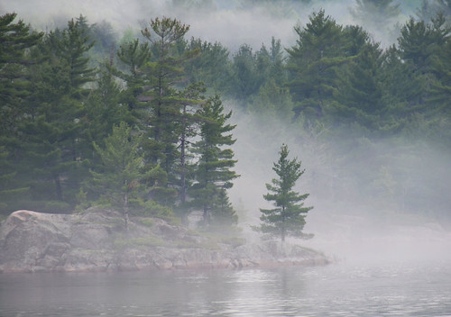 trees vacation ontario canada fog pine river nikon cottage frenchriver canadianshield noelville d7000