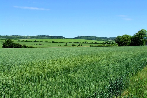 field germany landscape deutschland grain feld landschaft acker seena getreide saxonyanhalt sachsenanhalt eckartsberga
