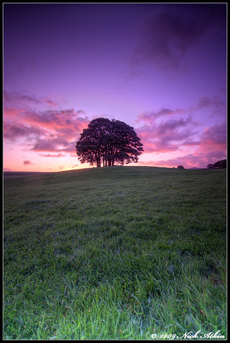 pink trees red sky green grass clouds sunrise colours purple malham yorkshiredales malhamdale