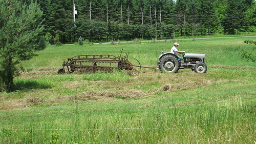 trees tractor field grass hay haying driedgrass rakinghay