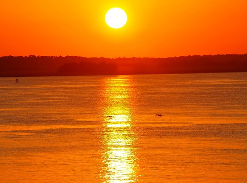 sunset red sky orange sun pelicans nature water beautiful birds river bigbird pelican beam sunbeam