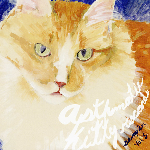 Asthmatic Kitty Sampler - Volume 3 (Cover art)