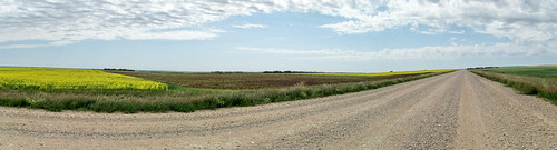 blue panorama canada color colour yellow farm progress sk prairie saskatchewan agriculture 2009 canola 2000s canadagood