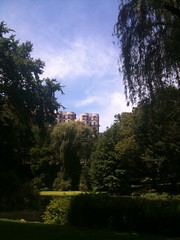 Central Park, near the pond.