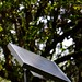 solar panel in the middle of the woods    MG 6584