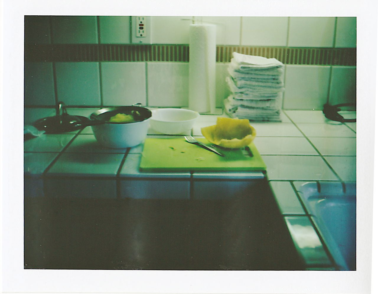 309/365: Polaroid Week IV