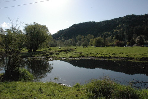 water beauty oregon upload pond scenic vernonia 20090618
