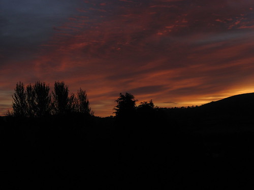 autumn silhouette marilyn wales sunrise powys rhayader canona700 gwastedyn