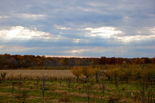 trees sky fall apple field clouds geotagged michigan farm orchard