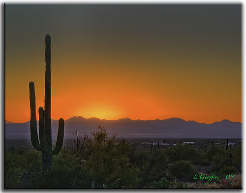 red arizona cactus southwest photoshop landscape landscapes scenery desert tucson sony scenic az oldbuildings explore hdr oldwest cs4 tucsonmountainpark photomatix hdrpool dslra350 dslr350 sonydslra350