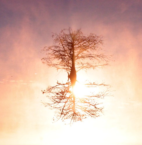 lake reflection water sunrise louisiana cypress natchitoches sibleylake