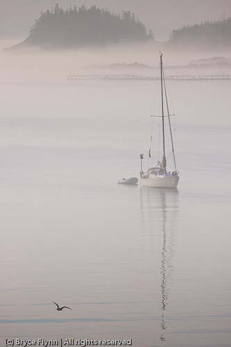usa mist me fog sailboat sunrise dawn maine fishingboats cutler