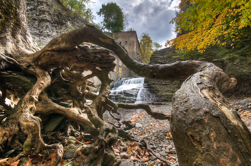 autumn ny newyork fall abandoned water river lunch waterfall nikon wells falls foliage ithaca hdr highdynamicrange d300 photomatix businessmans businessmanslunch sigma50th
