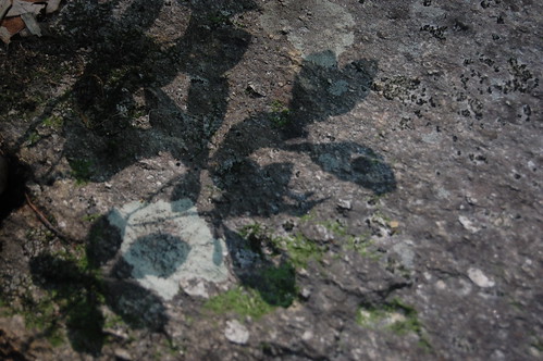 northcarolina lichen pisgahcoveredbridge randolphcountync metavolcanicrock