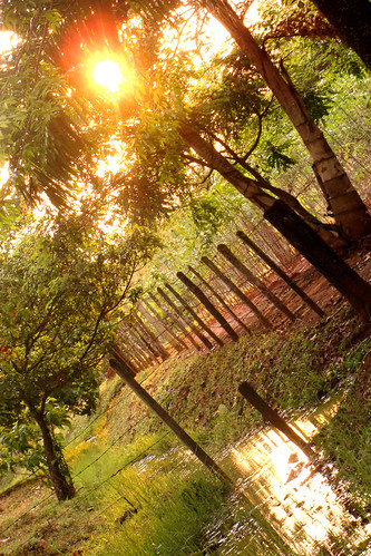 sunset nature water creek fence landscape reflexions atomicaward