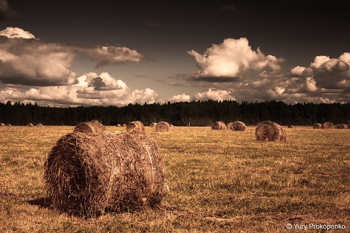 sky field clouds rural canon landscape russia harvest explore 5d hay frontpage россия kostroma supershot abigfave ultimateshot кострома