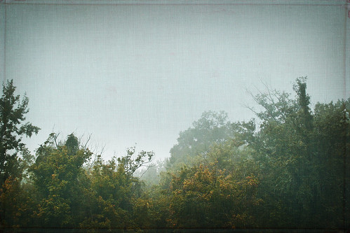 texture nature fog rural landscape maryland farmland layers serc courtnayjaniak