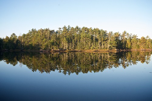 trees reflection water maine acadia mdi somessound