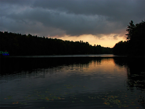 sunset orange lake ontario canada water night clouds canon dark saw lilypads muskoka powershots3 denisgiles