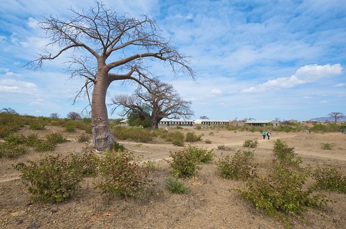 africa school outdoors nikon nikkor mozambique tete baobab businessschool embondeiro d700 1424mm