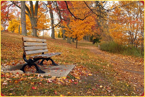 autumn ontario canada fall londonontario