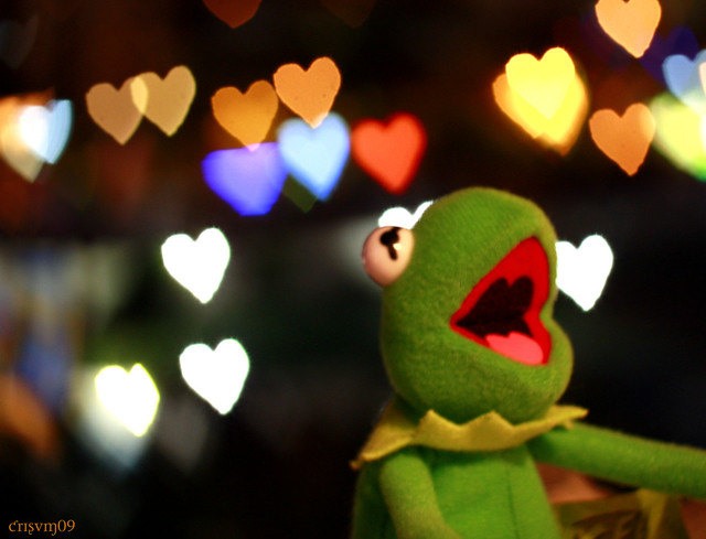 Kermit the frog in a hearts bokeh (Explored!) - a photo on Flickriver.