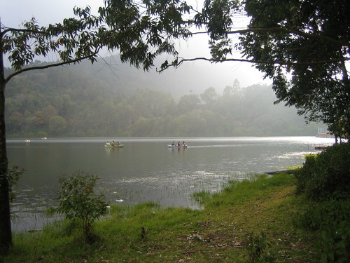 mist lake forest landscape dam mpc munnar catchment kundala