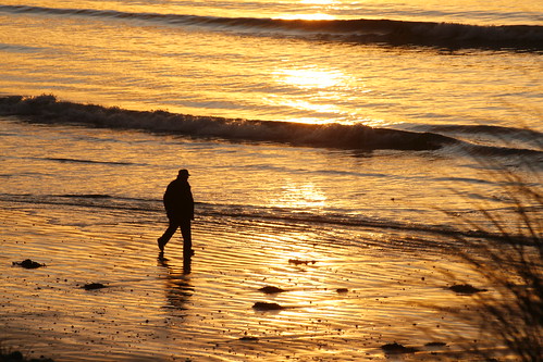 ocean sunset sea man beach water walking gold coast sand walker