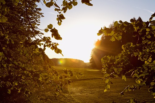 light sun sunrise golf ef2470mmf28lusm goldenhour kassel golfplatz goldenestunde