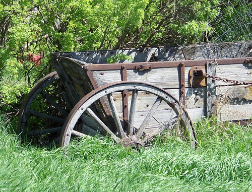canada color colour green wagon farm vehicle sk prairie saskatchewan agriculture 2009 redberry 2000s krydor canadagood