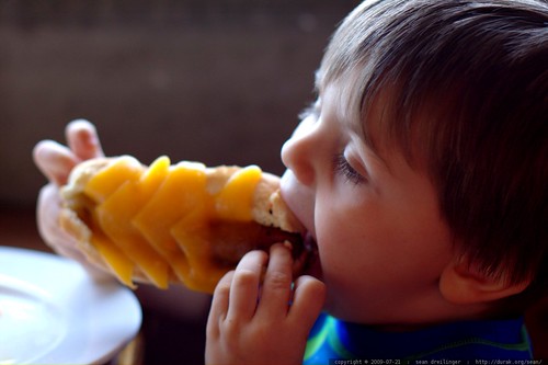 little kid eating a big hot dog    MG 8863