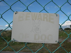 Beware of Ghostly Dogs