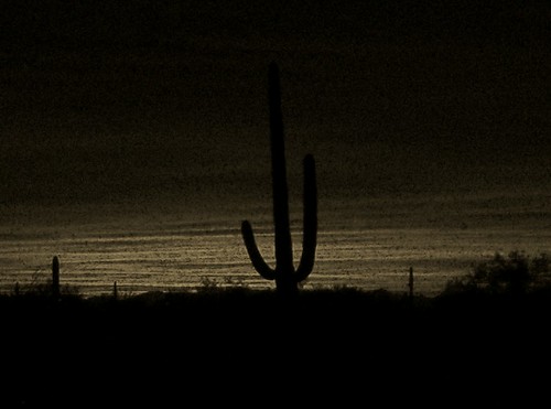 sunset arizona cactus clouds evening florencearizona
