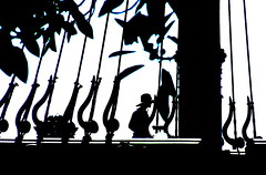 Silhouette - staff at work on Dawn Treader, Dawn Treader set at Cleveland Point, Brisbane, Queensland, Australia 090822