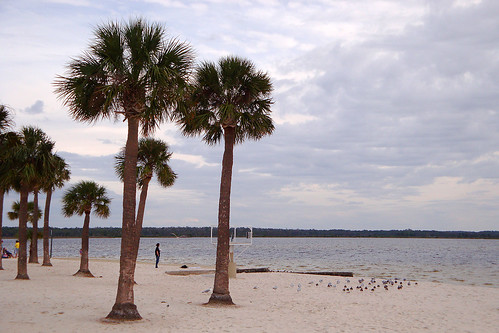 beach florida cloudy palmtrees 365 pineisland