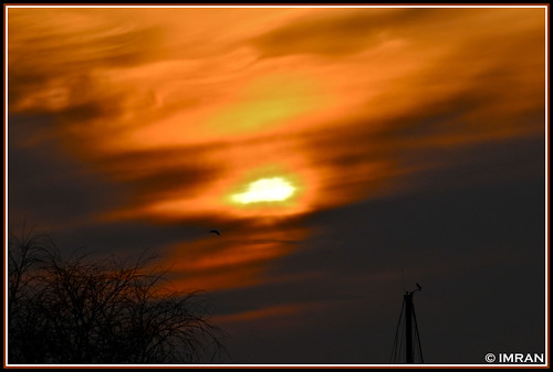 sunset red sky sun newyork tree bird nature silhouette yellow night clouds outdoors landscapes nikon seasons dusk framed peaceful tranquility longisland imran 2010 d300 patchogue imrananwar eastpatchogue
