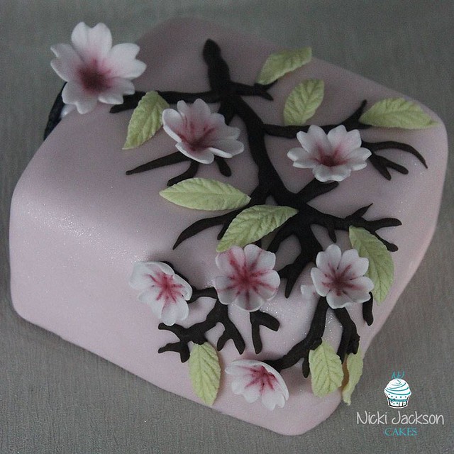 Sakura Hanami Cherry Blossom Viewing 4inch Cake by Nicki Jackson Cakes