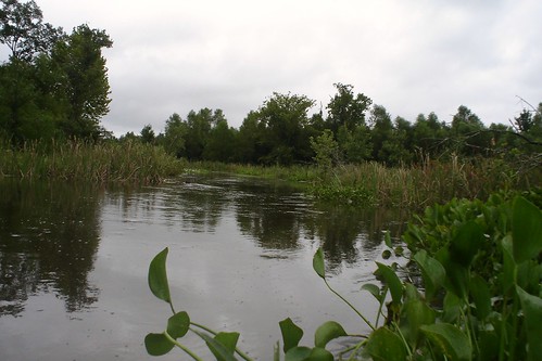 creek al branch alabama harpersville