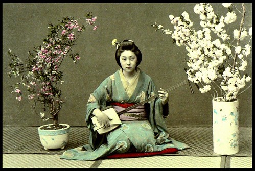GEISHA PLAYING A SAMISEN in OLD JAPAN