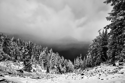 trees winter lake snow nature oregon forest landscape early nationalpark nikon nps or first crater craterlake 2009 d300 craterlakenationalpark silverefexpro