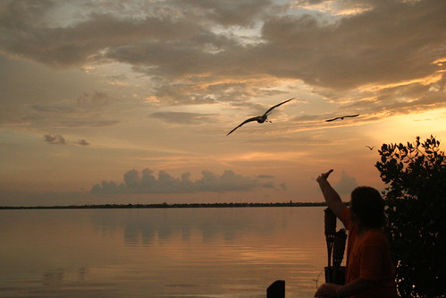 ocean sunset seagulls clouds tropical floridakeys cudjoekey cudjoebay