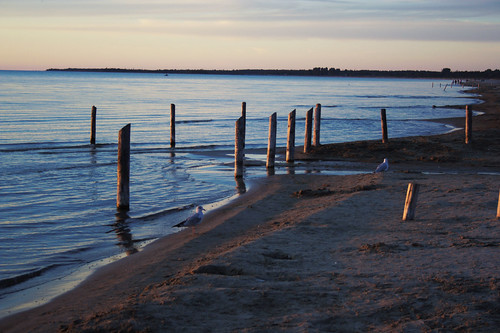 sunset seagulls ontario canada saublebeach