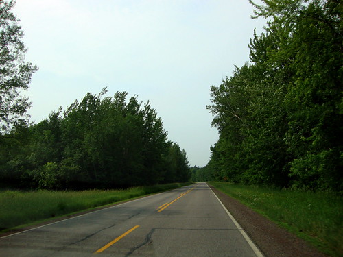 road trees sky tree wisconsin landscape highway scenic greenery wi marshfield bakerville centralwisconsin countyb