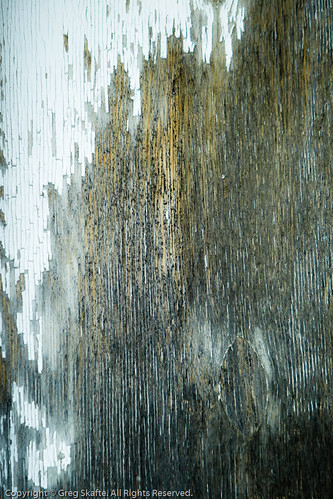ca wood canada abstract texture paint alberta abstracto canadá abstrakt kanada