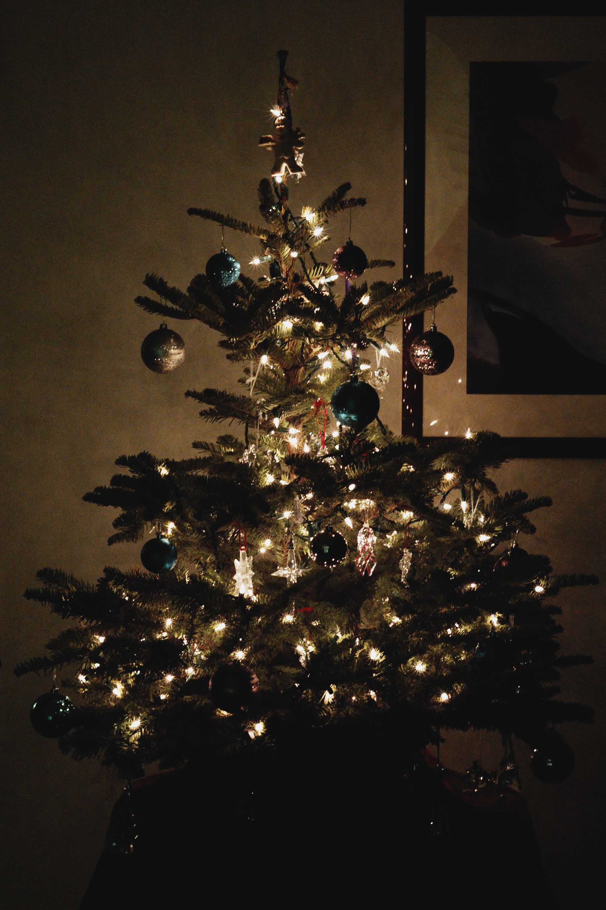 344/365: Christmas Lights