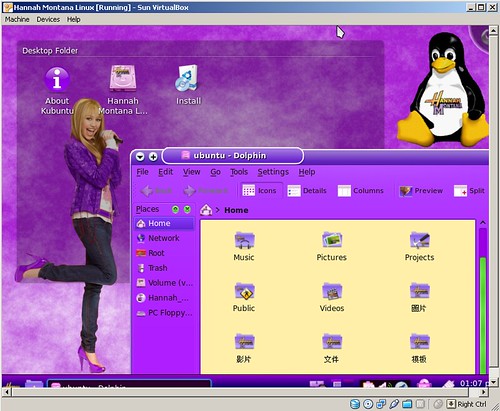 Hannah Montana Linux Dolphin with Traditional Chinese