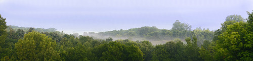 trees sky nature fog dawn valley fujifilmfinepixs2000hd