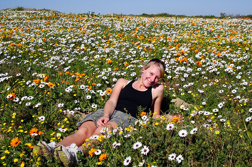 flowers geotagged sister catherine naturereserve wildflowers westcoast langebaan westcoastnationalpark seeberg geo:lat=33122124 geo:lon=18078314
