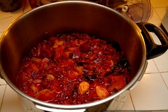 beet borscht, pre puree    MG 1069 